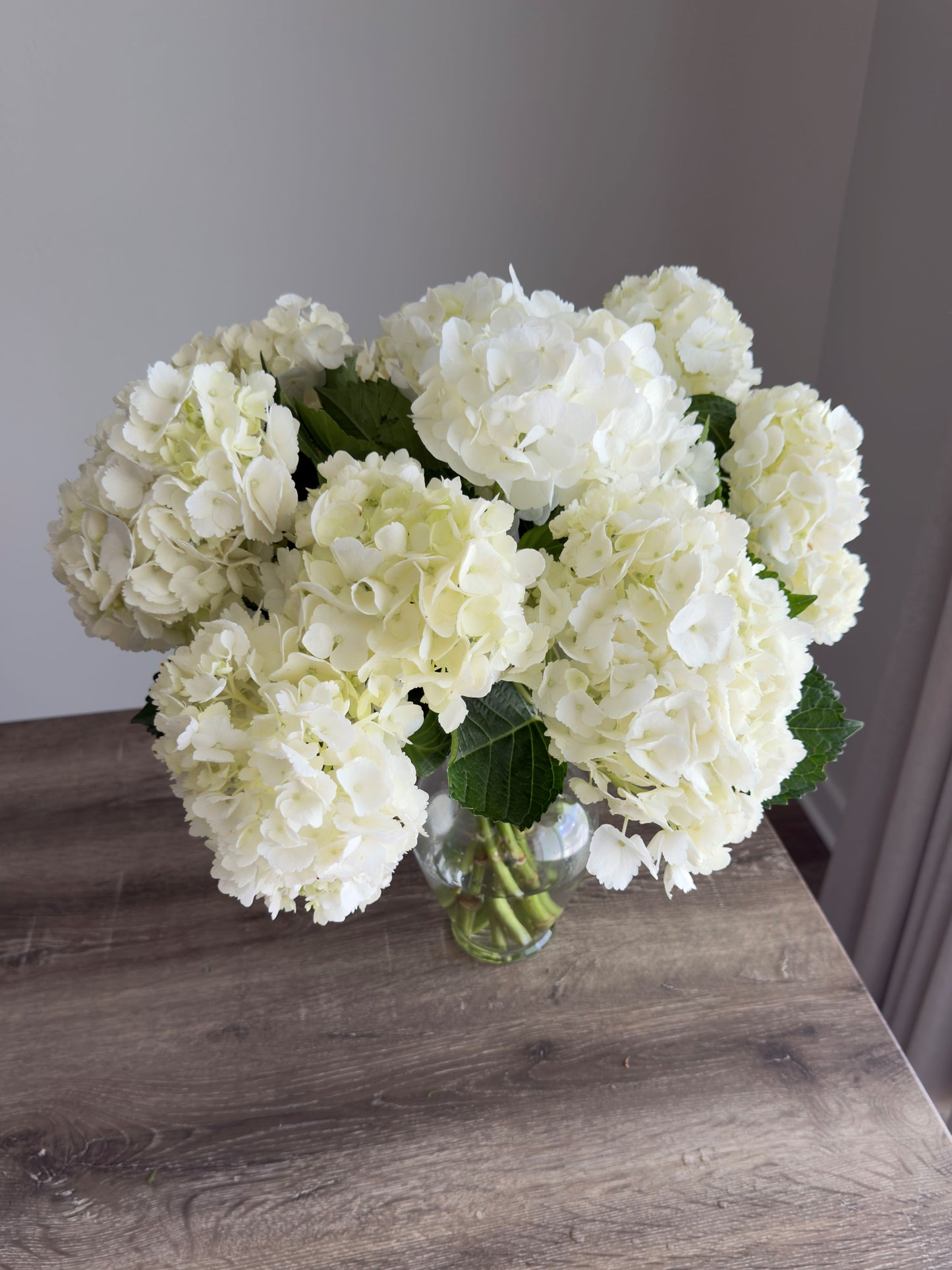 Cloud White Hydrangea Arrangement