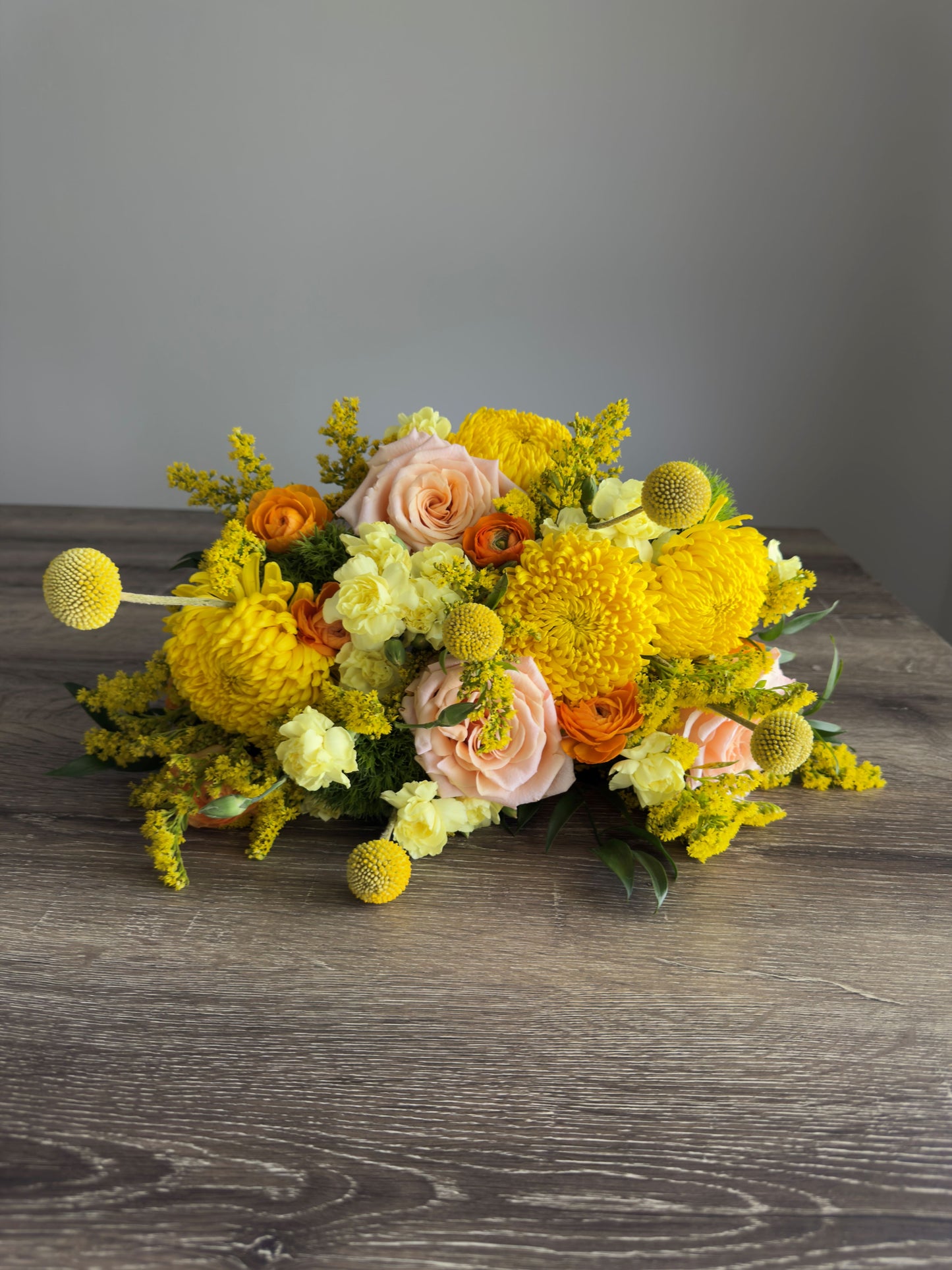 Abundance of Sunshine