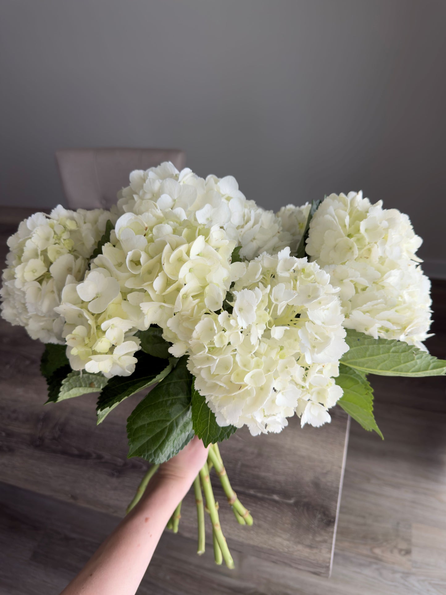 Cloud White Hydrangea Arrangement