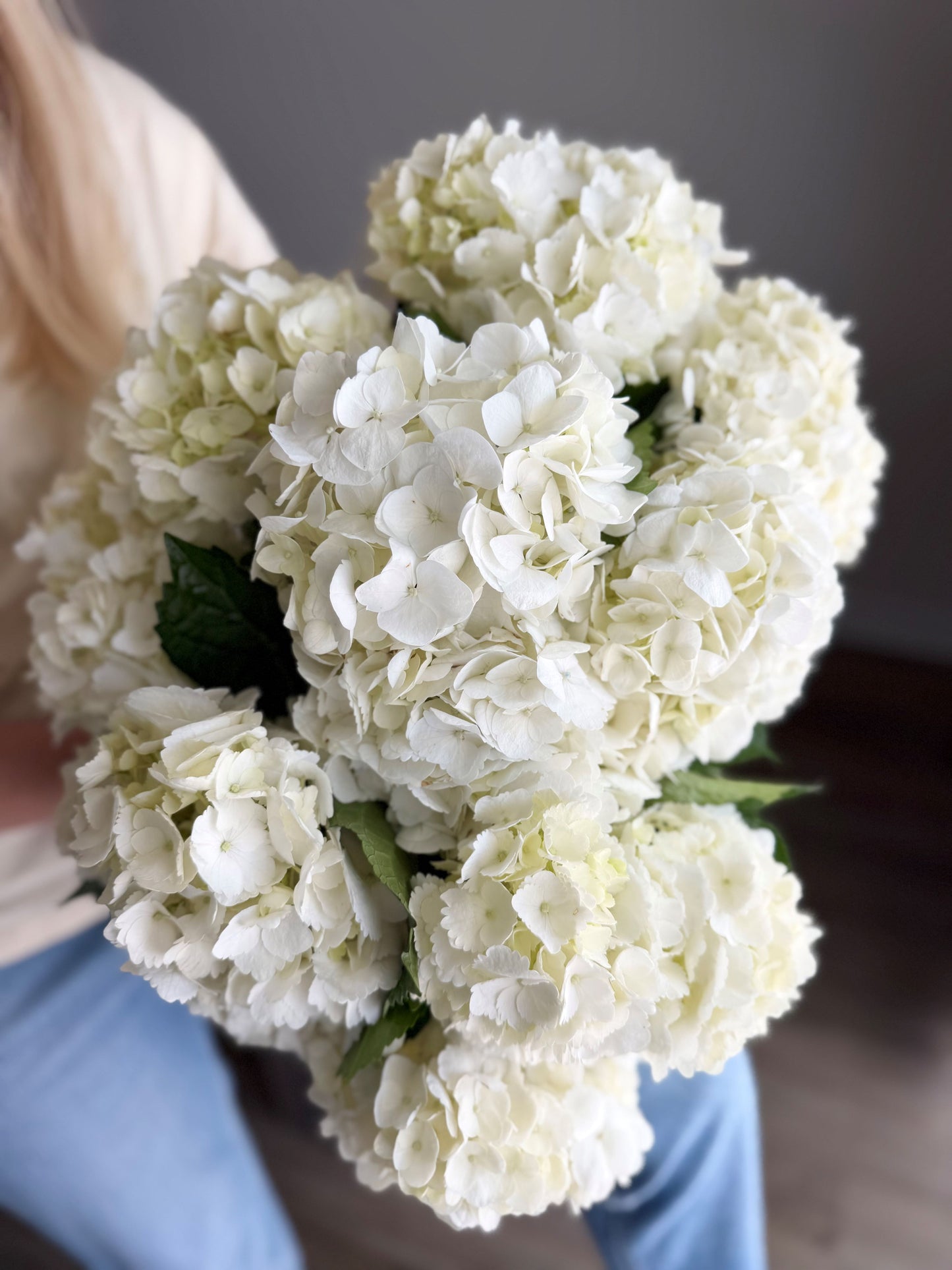Cloud White Hydrangea Arrangement