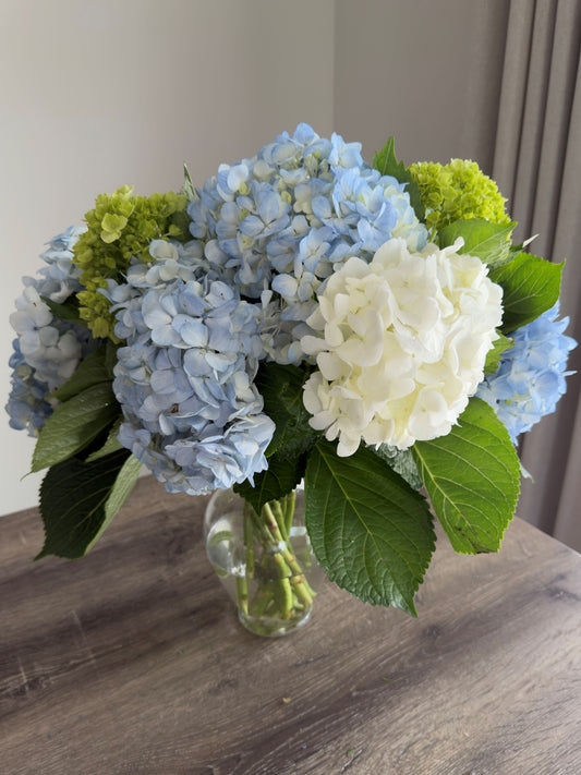 Blue & White Hydrangea Arrangement