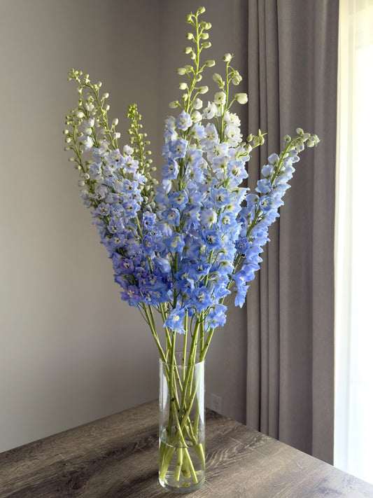 Sky Blue Delphinium Arrangement