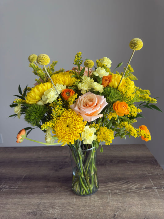 Abundance of Sunshine