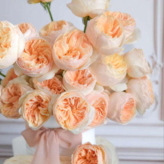 Juliet Garden Roses